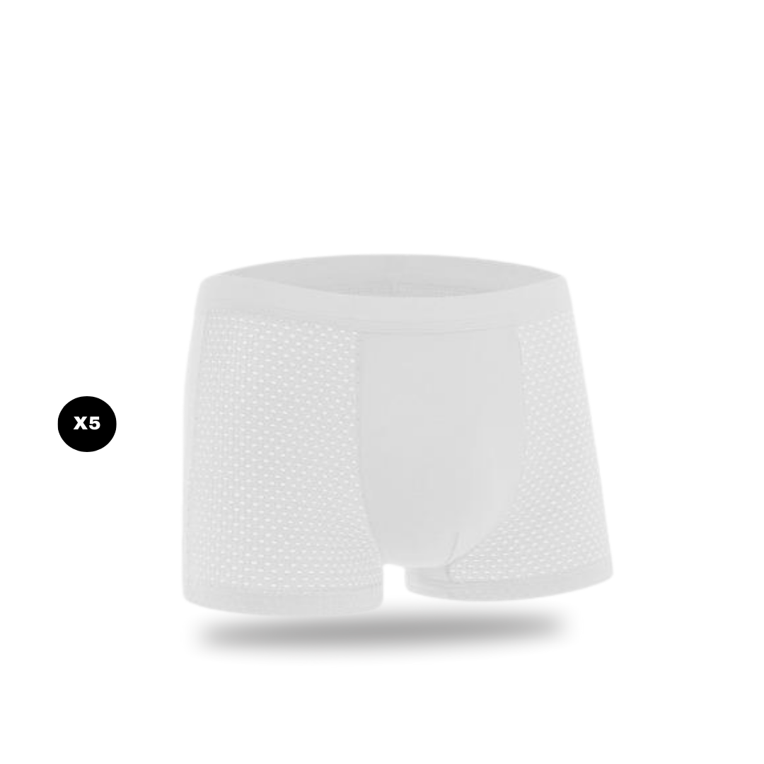 BAMBOO FIBRE BOXERS | BAMBOOWEAR 5-PACK